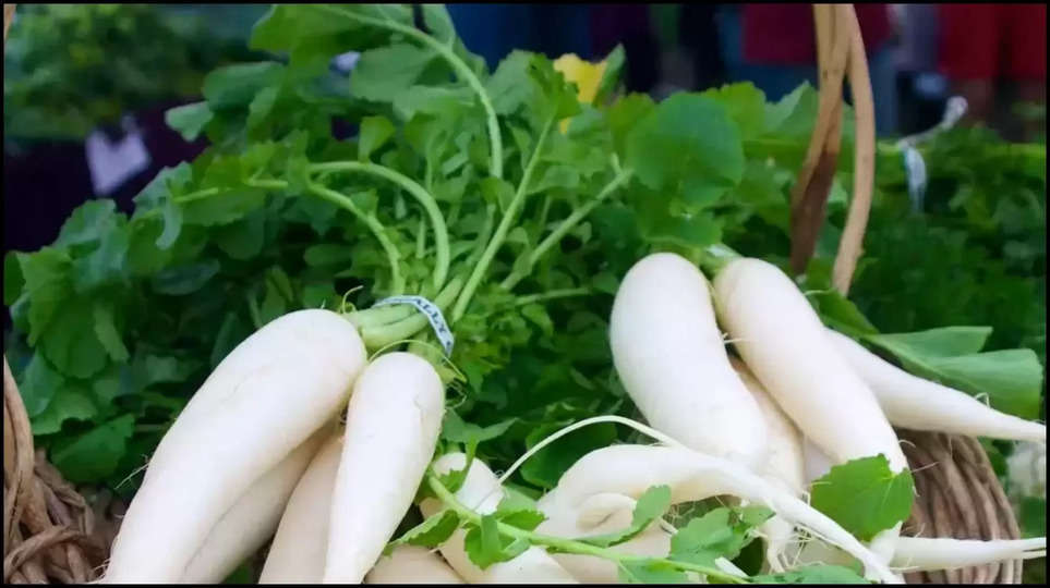 radish ,benefits ,radish leaves ,health tips ,health care ,Eating radish benefits for body weight loss, radish leaves benefits ,Eating radish benefits for body fat, Eating radish benefits for body ayurveda, eating radish at night, radish benefits for stomach, radish benefits for skin, eating radish empty stomach, radish side effects, Radish Leaves Health Benefits, Hindi News, News in Hindi, Latest Hindi News ,हिंदी न्यूज़,मूली के पत्तों का फायदे,मूली खाने के फायदे,मूली के फायदे,