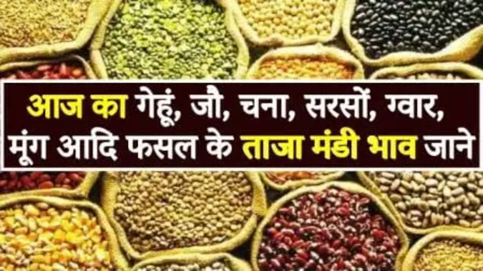 Mandi Bhav Today 2024, आज का मंडी भाव, mandi bhav today, mandi bhav rajasthan, mandi bhav betul, mandi bhav indore, mandi bhav sirsa