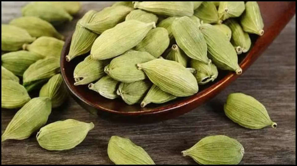 cardamom , benefits ,health tips ,health care ,lifestyle ,obesity ,diabetes ,green cardamom benefits ,cardamom benefits for female ,cardamom benefits of male ,इलाइची खाने के फायदे, इलाइची खाने से क्या होता है,benefits of cardamom ,हिंदी न्यूज़, health care in hindi ,health tips in hindi ,