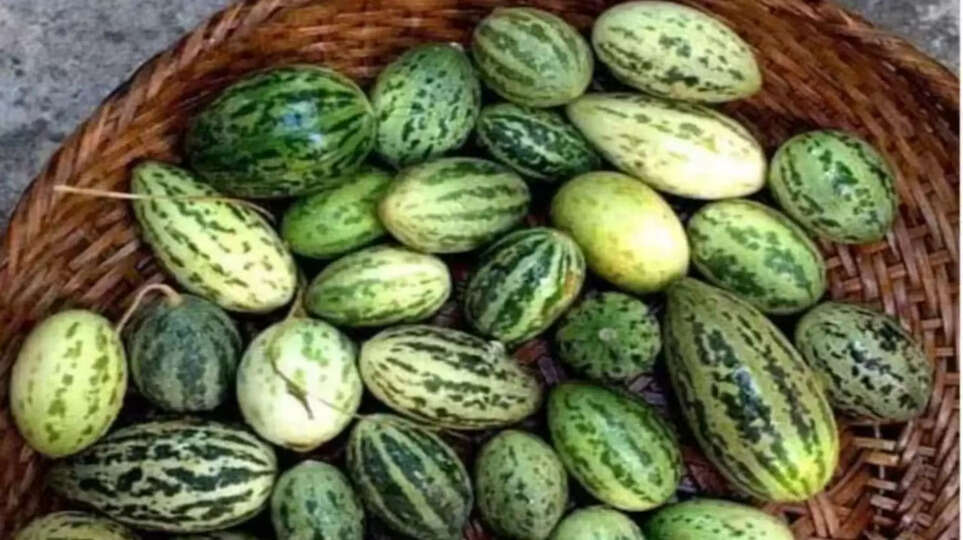 kaachar ,benefits ,healthy diet ,desi khana ,health tips , kaachar Health Benefits, kaachar benefits, healthy diet ,healthy diet in hindi ,desi khana ,काचर,