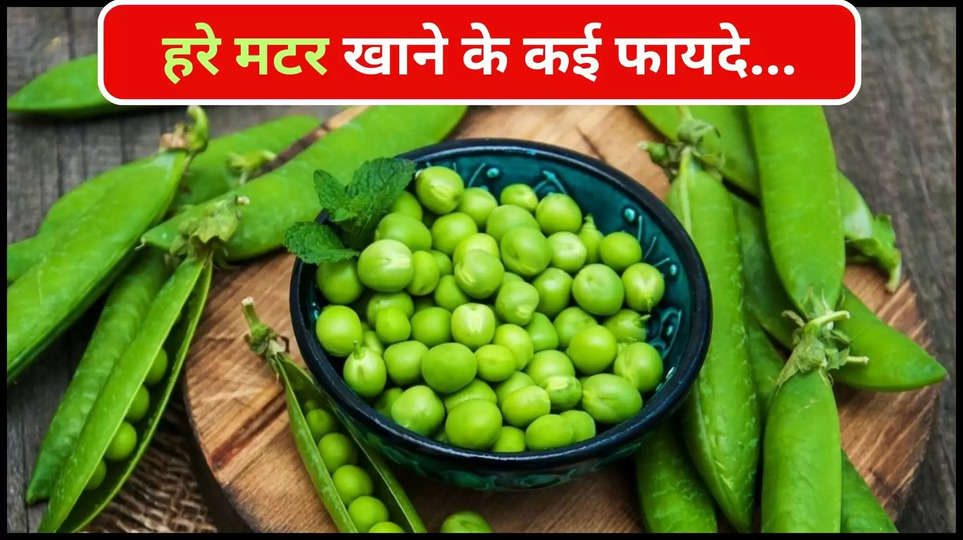 green peas ,benefits ,health tips ,health care ,healthy diet ,hare matar ,Green Peas, Green Peas Benefits, Health Benefits of Green Peas, हरी मटर, हरी मटर खाने के फायदे, हरी मटर क्यों खानी चाहिए ,हरे मटर खाने के फायदे, benefits of green peas ,healthy diet in Hindi ,health care in Hindi ,health tips In Hindi ,हिंदी न्यूज़, home remedies ,हरे मटर के फायदे,