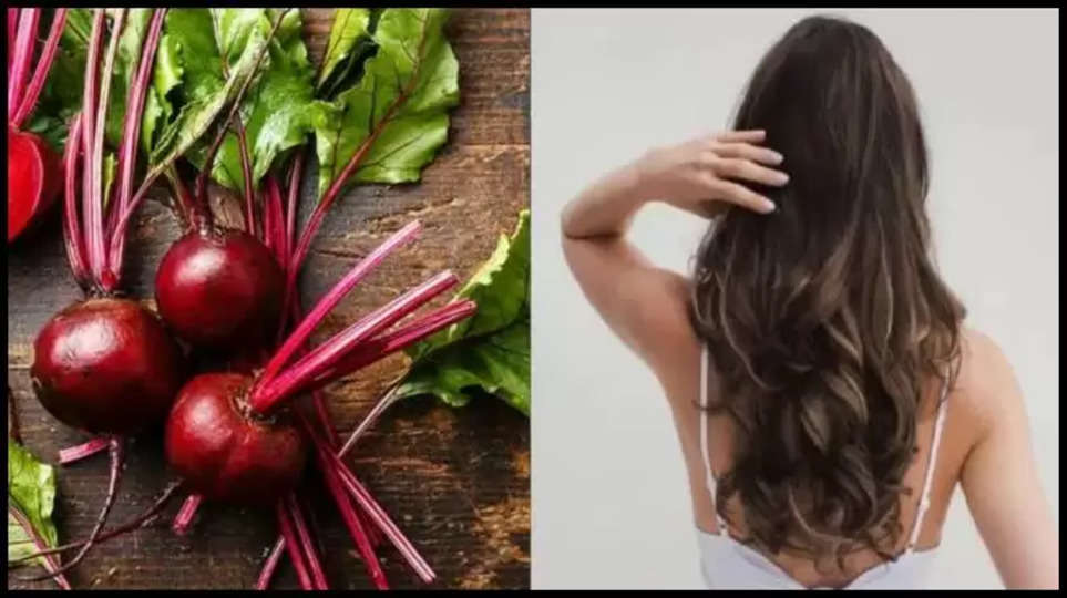 beetroot ,benefits ,face pack ,shampoo ,dandruff ,health tips ,hair care ,Hair Loss And Dandruff, Beetroot, hindi Lifestyle News, Best health benefits with beetroot, Beetroot Hair Pack ,हिंदी न्यूज़ ,hair care in hindi ,health tips in hindi ,heath care in Hindi ,चुकुंदर के फ़ायदा, बालों के लिए चुकुंदर,