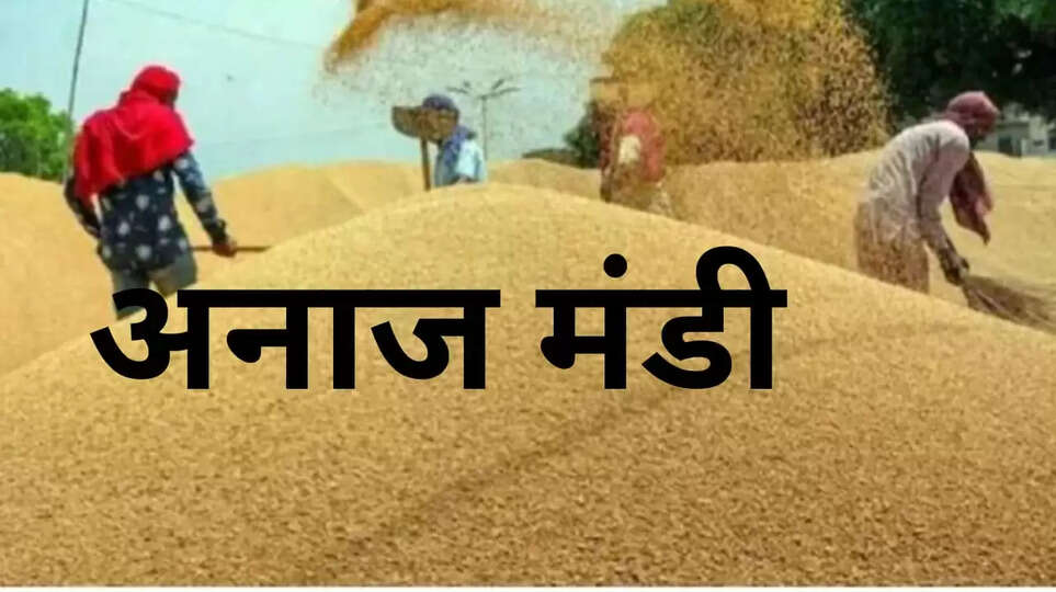HARYANA NEWS