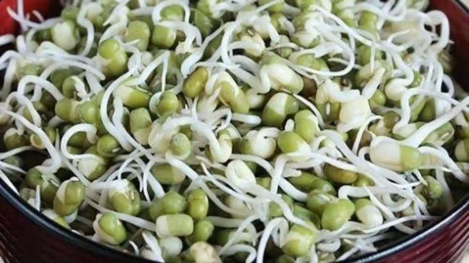 sprouts ,breakfast ,health tips ,benefits ,moong ,benefits of eating Sprouted Moong, Remove anemia, Improve blood circulation, Boost immunity, Beneficial for eyes, Lose weight, Remove premature ageing, Improve digestion,अंकुरित मूंग खाने के फायदे, खून की कमी दूर करे, ब्लड सर्कुलेशन ठीक करे, इम्यूनिटी बूस्ट करे, आंखों के लिए फायदेमंद, वजन घटाए,प्रीमेच्योर एजिंग को दूर करे, पाचन दुरुस्त करे