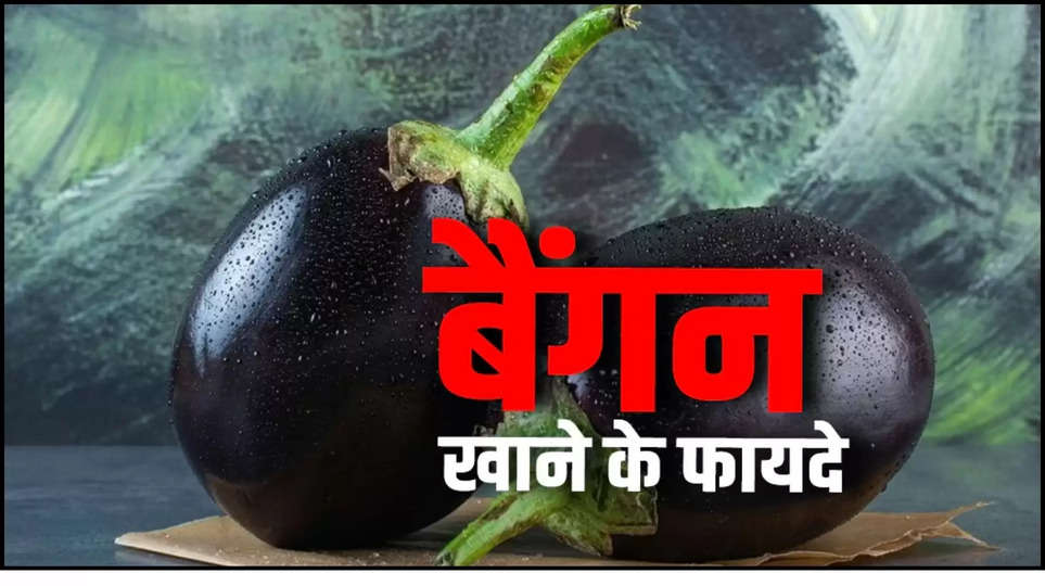 brinjal ,benefits ,diabetes ,home remedies ,healthy diet ,health care ,health tips , vegetables , eggplant ,control blood sugar level,  weight loss reduce, cholesterol, health benefits of brinjal, cancer, diabetes, Health Benefits, Plant Based Diet, Healthy Diet in Hindi, Eggplant, Health Benefits Of Eggplant, Brinjal, Baigan, hindi News, News in hindi, Latest Hindi News ,बेंगन के फायदे,बेंगन खाने के फायदे, सफेद बेंगन के फायदे, white brinjal benefits ,brinjal benefits ,